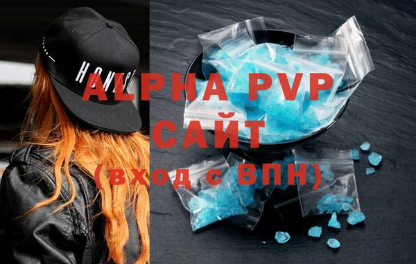 стаф Надым