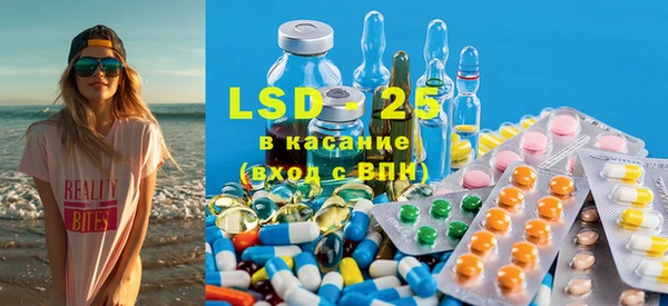 стаф Надым
