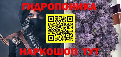 прущие крисы Тулун