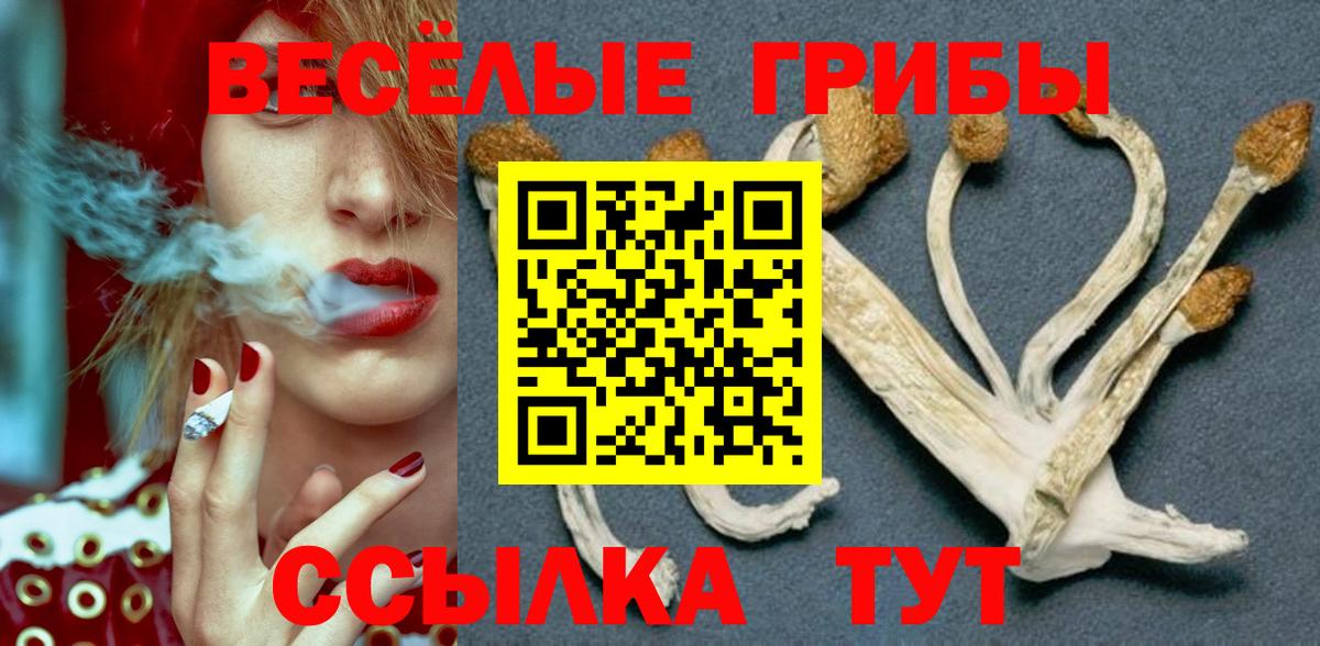 Псилоцибиновые грибы прущие грибы Павлово
