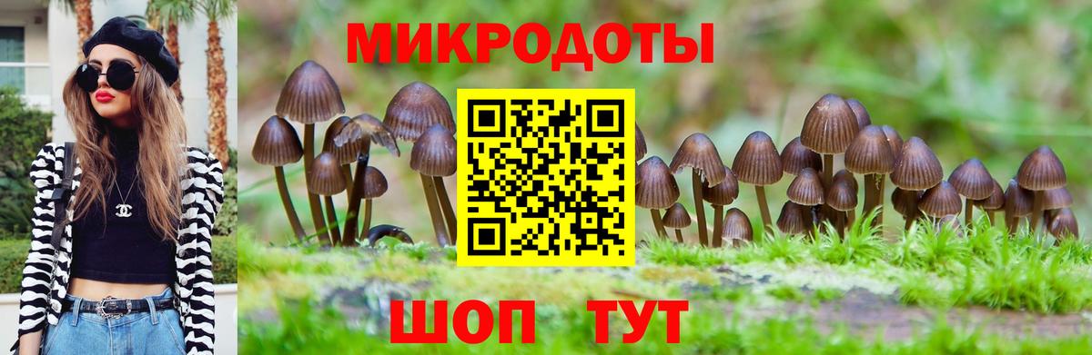 хочу наркоту  Вход с VPN  Павлово  Псилоцибиновые грибы Cubensis 